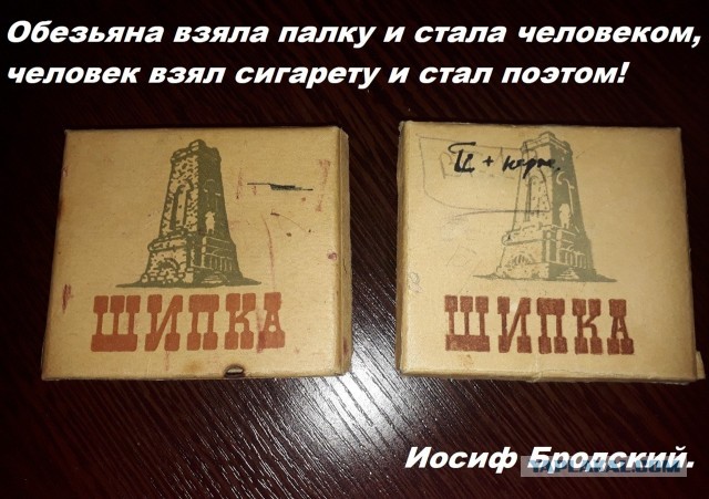 Свинегрет: картинки, надписи и прочее на 20.02.21 или №30