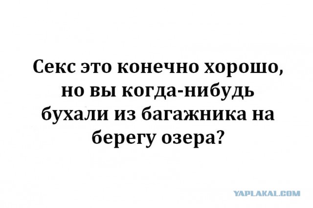 Весёлый полтишок 4.03