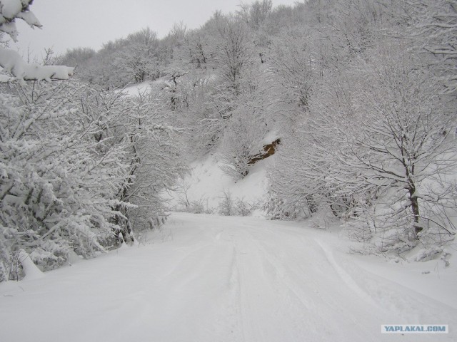 Спуск с Ай-Петри, ДТП