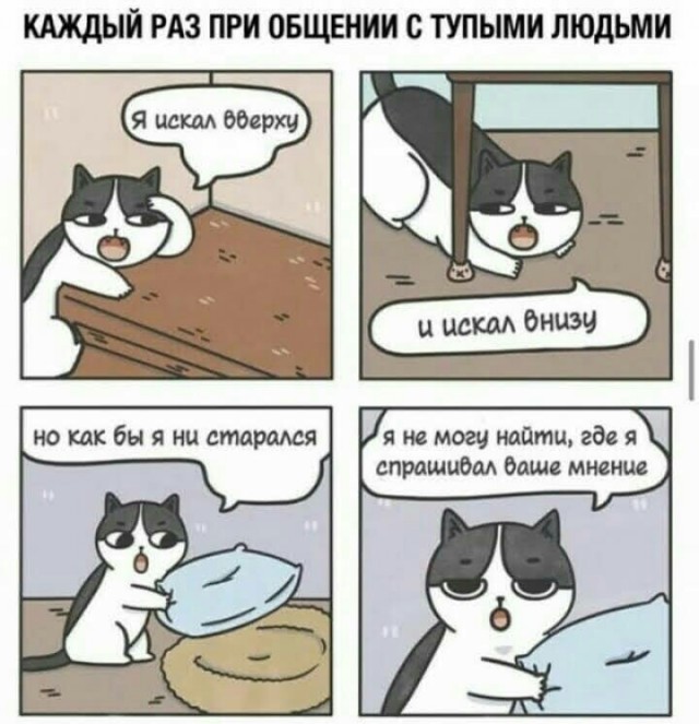 Весёлый полтишок 1.06.