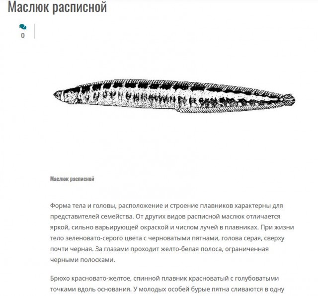 Нравятся ли вам татуировки?