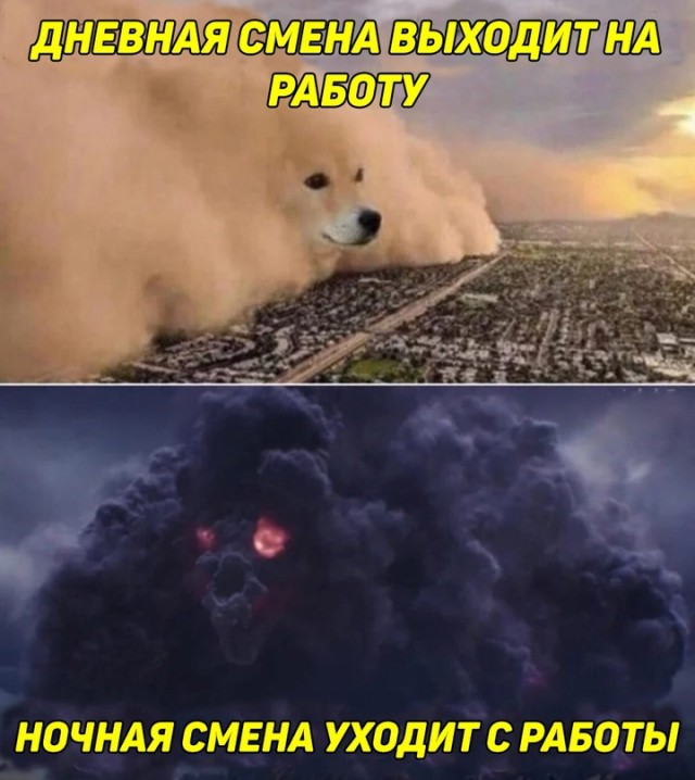 Весёлый полтишок 18.07