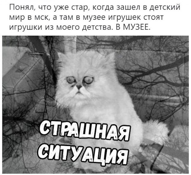 Картинки и мемы для настроения 31.08.2021