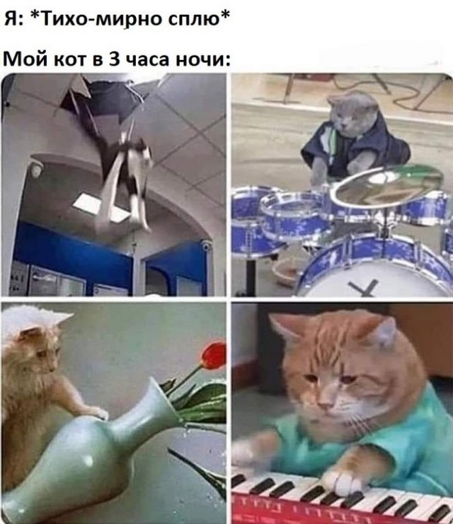 Весёлый полтишок 20.09.