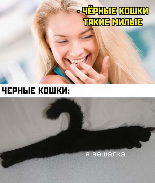 Картинки и мемы для настроения 11.11.2021