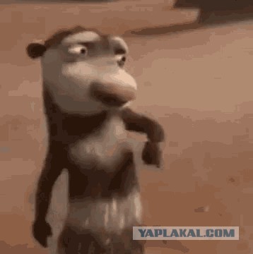 Россиянин Артем Северюхин показал нацистский салют на чемпионате мира по картингу