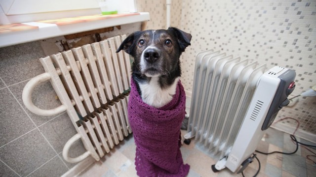 Урсула фон дер Ляйен предложила способ, как быстро избавить Европу от поставок газа по «Северному потоку»