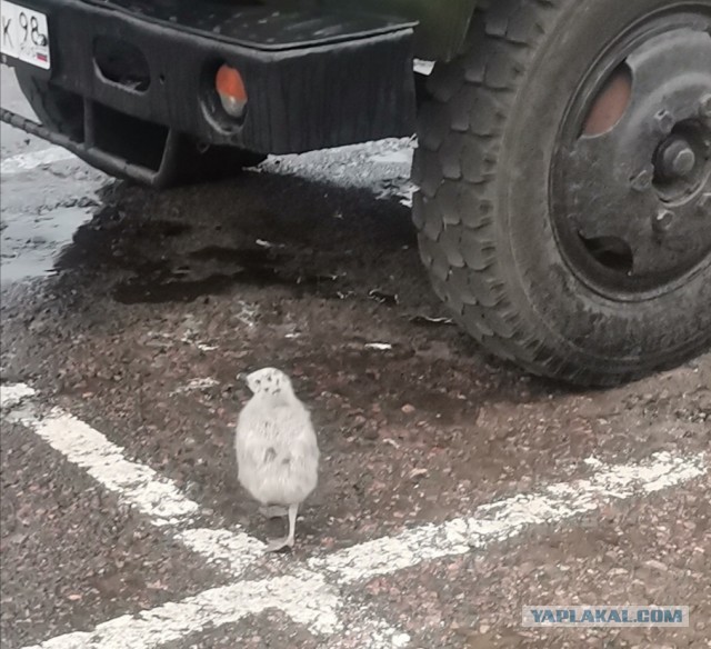 Измена Жены. Как с этим жить?!