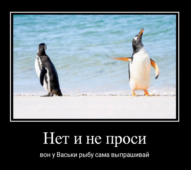 Объявлены победители премии Комедийной фотографии дикой природы-2022