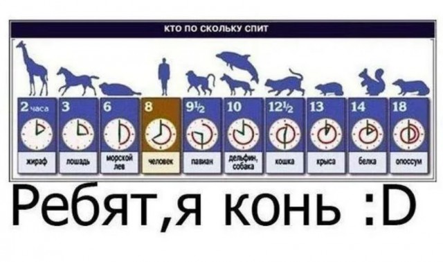 Победная поступь идиотизма по планете – том 6