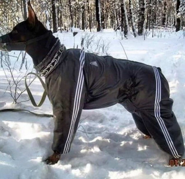 Прикольные и просто красивые картинки 24.01.2023