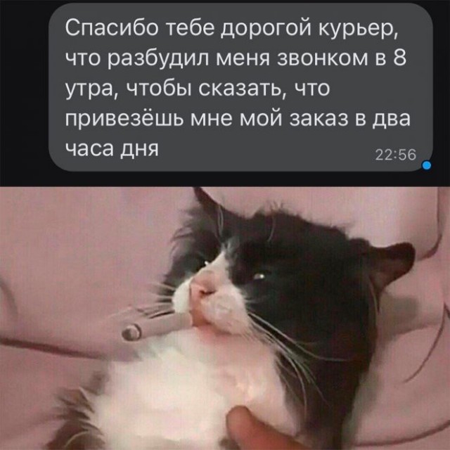 Скриншоты и комментарии из социальных сетей 30.01.23