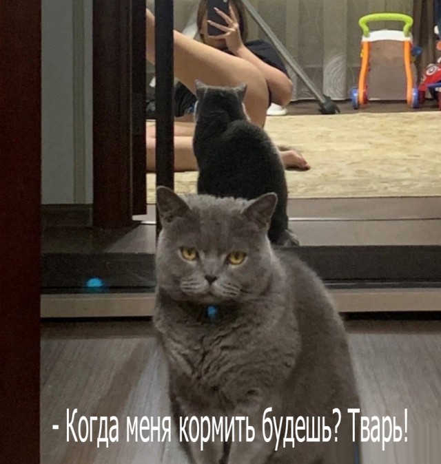Пятница. И немного слегка пошлых картинок с надписями и без 16+ (07.04)