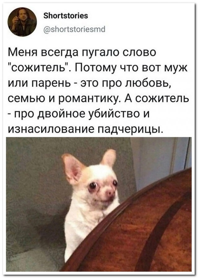 Забавные комментарии из социальных сетей 01.05.23