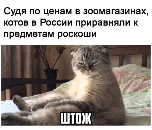 Так себе картинки 03.05.23
