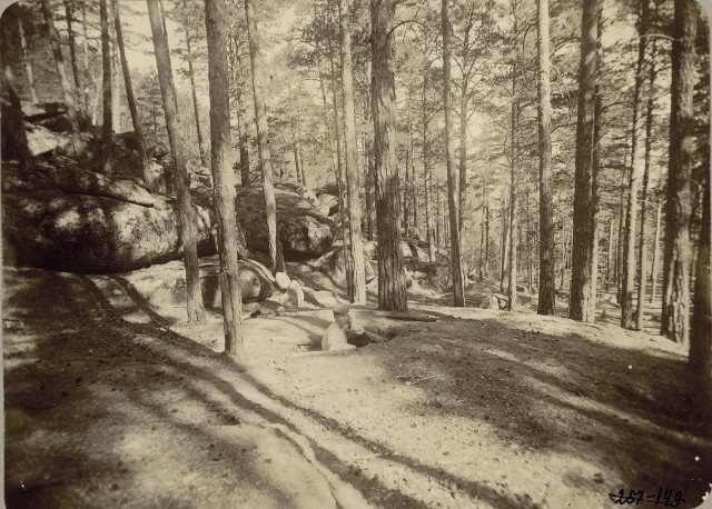 Сибирское казачье войско 1909г. Лица. Виды