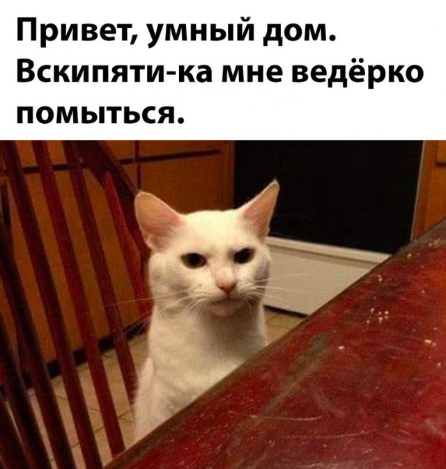 Весёлый полтишок 23.07.23