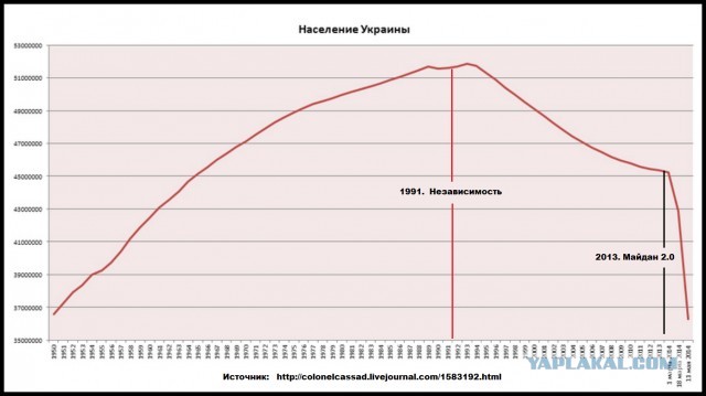 Шойгу доложил о девяти новых полках для военной операции