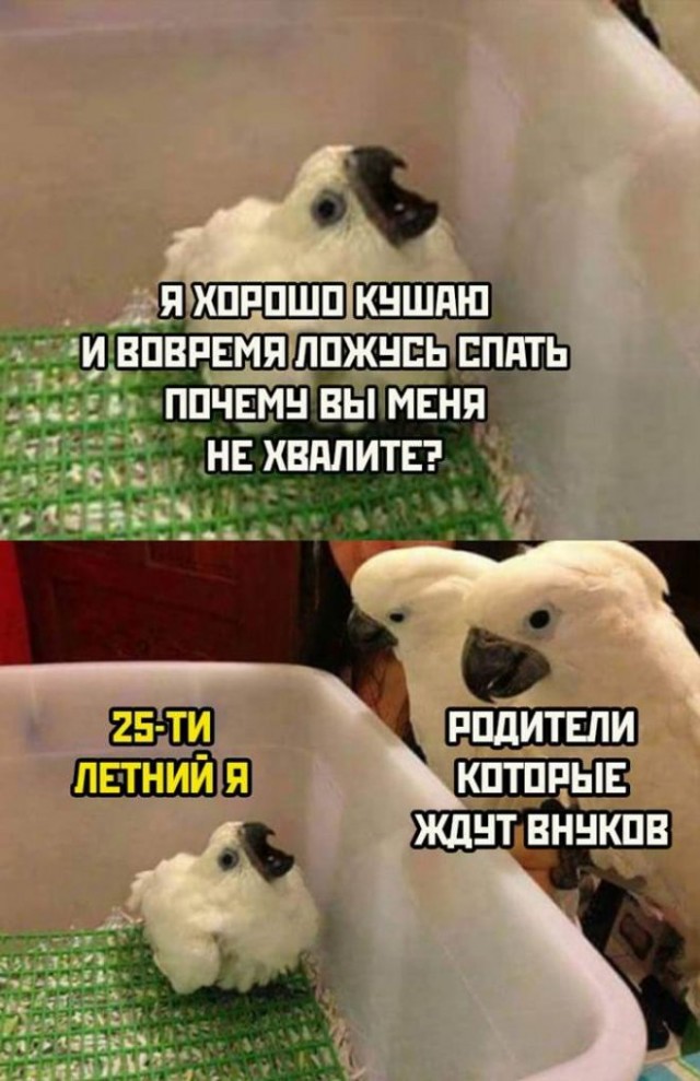 Всего понемногу. От 15.11.23