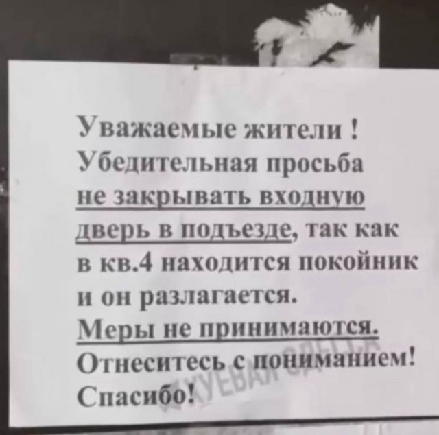 Всего понемногу. От 17.11.23