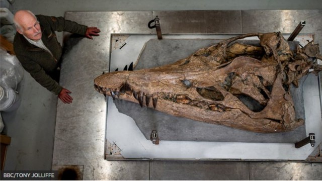 Подводный монстр Юрского периода