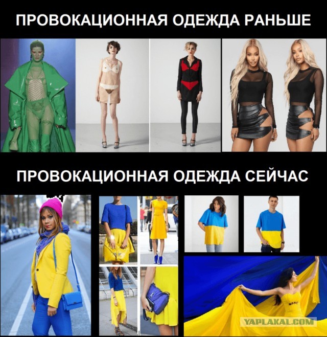 Минюст внес организацию украинских националистов, ее атрибутику, в том числе лозунг "Слава Украине" в перечень нацистских
