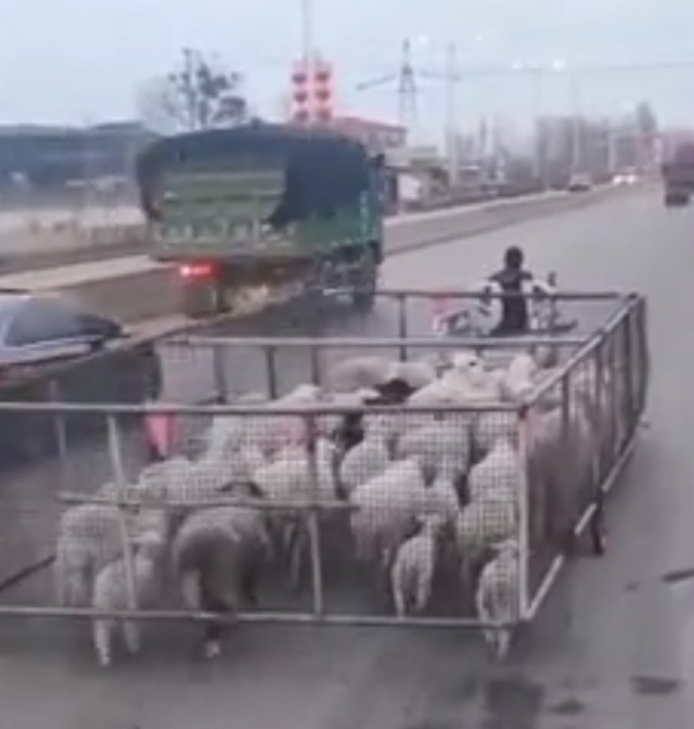 Скоро сезон мотоциклов