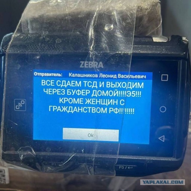 Рейд Росгвардии и полиции на складе Wildberries в подмосковной Электростали. Правоохранители ищут среди сотрудников нелегалов