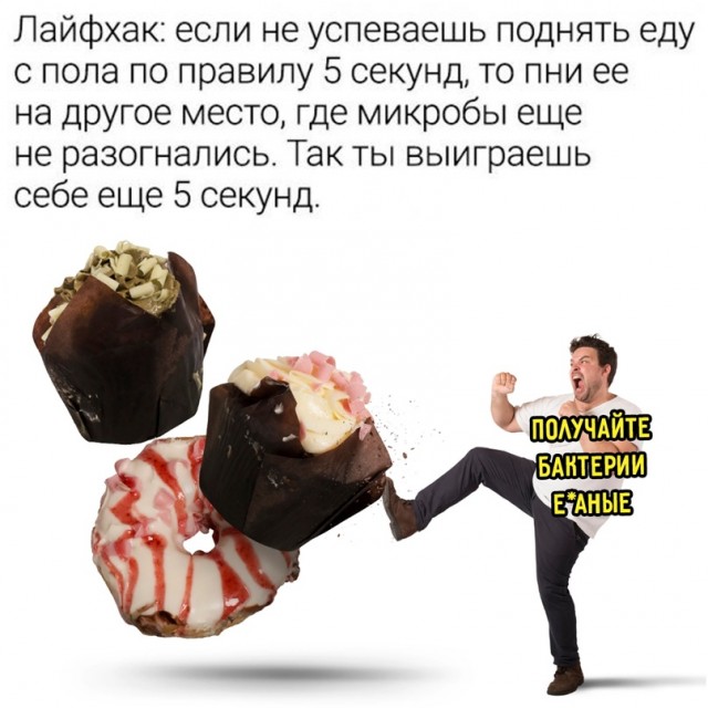 Весёлый полтишок 13.05 24