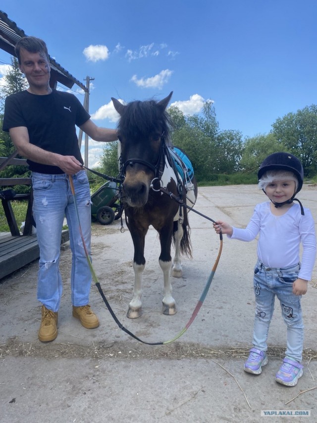 Заманили на лошадку
