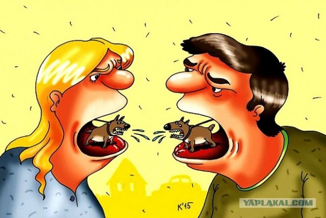 Почему вы её бьёте ? Не трожь её, мразь! Что скажете, коллеги?