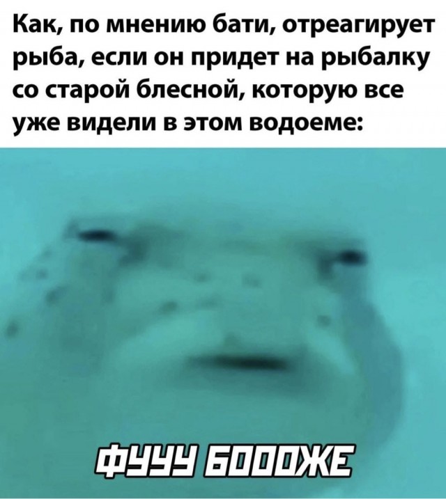 Немного забавных картинок