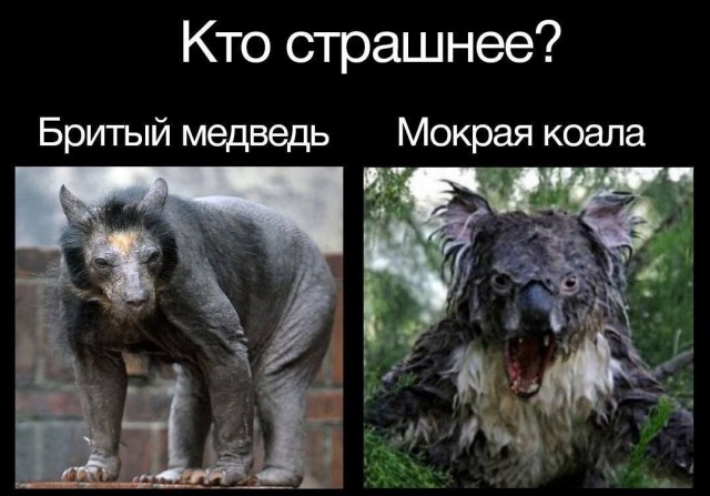 Так себе картинки 20.07.24