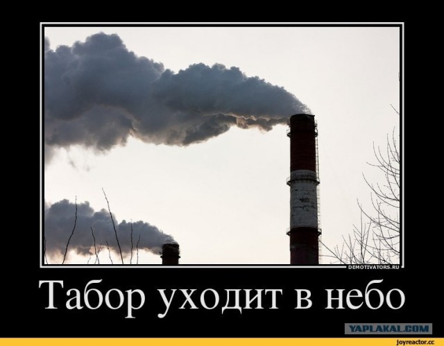 Томми одобряет.