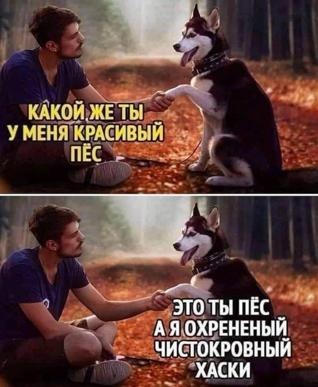 Весёлый полтишок 19.09.24