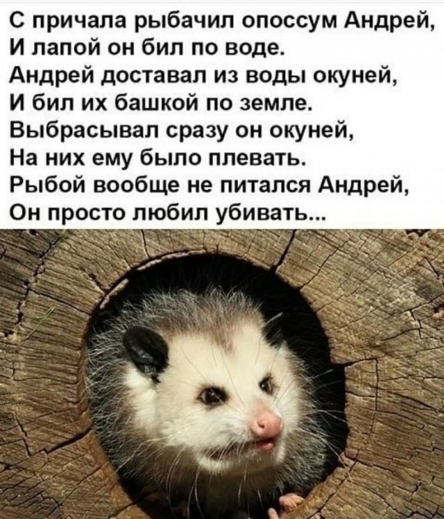 Лопату