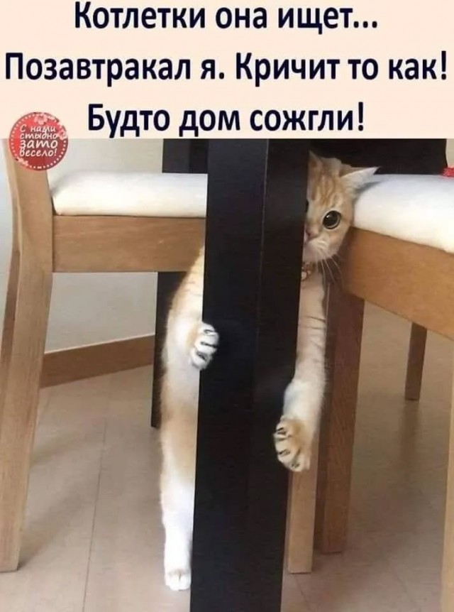 Завалялось тут случайно немного забавных картинок