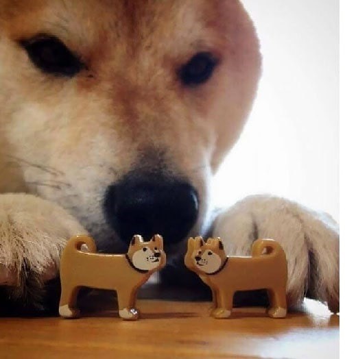 Губернатор Красноярского края поручил повысить рождаемость в регионе