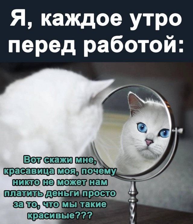 Немного картинок есть у меня на пятницу.