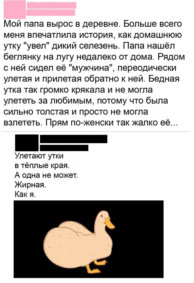 Так себе картинки 05.08.25