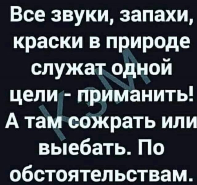 Так себе картинки 09.08.25