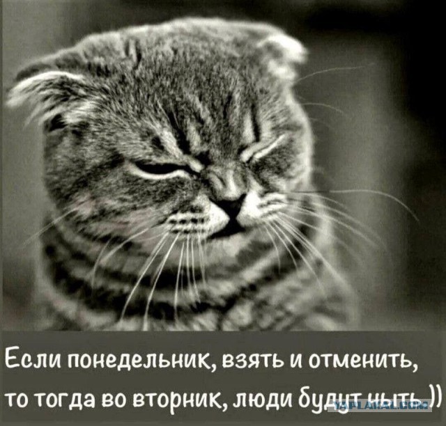 Понедельники убивают, выяснили учёные