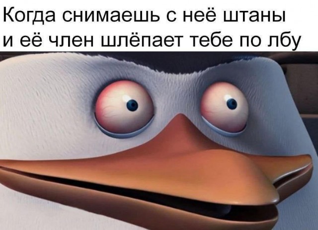 Дегрономикон 8
