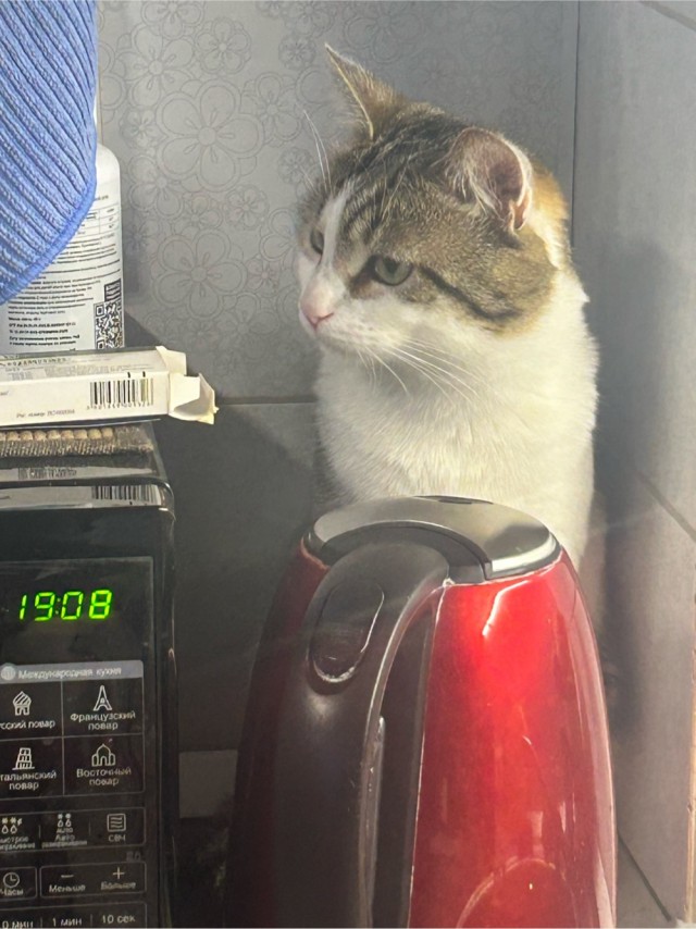 Праздничная корзинка.