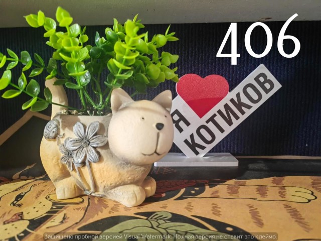 Жизнь домашнего приюта "Котоленд" 553