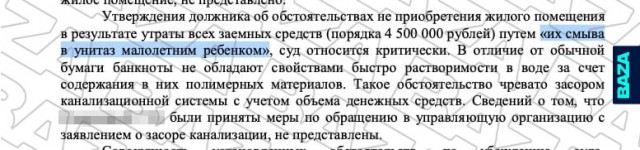 4,5 млн рублей смыл в унитаз ребёнок