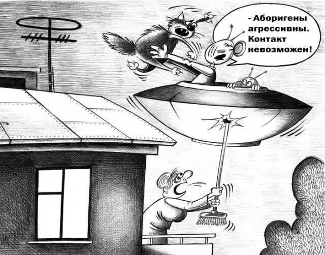Картинки для деградации 294 (разной степени свежести)