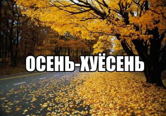 Смело топчу я ногой внешнюю леса красу...