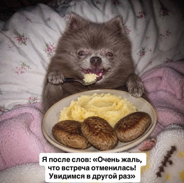 Картинки для деградации 303 (разной степени свежести)