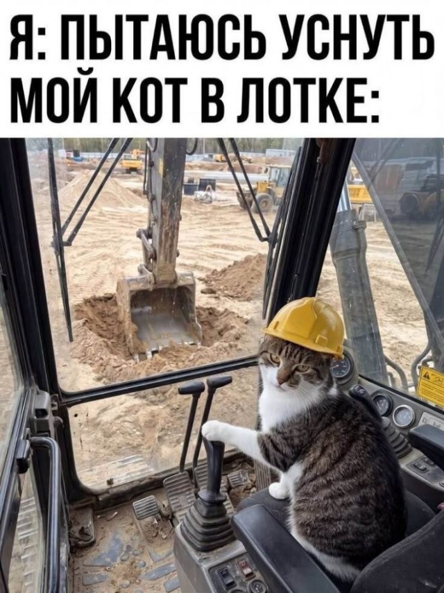 Веселые картинки в пятницу (23.10)